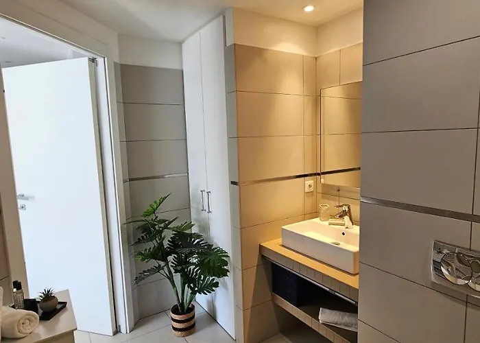 Grand & Beau Climatise Vue Sur